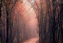 新疆男篮季后赛险胜上海申花，孙颖莎砍下2记关键球，全场沸腾的简单介绍